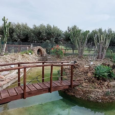 Villa Michelangelo Castellammare del Golfo Eksteriør bilde